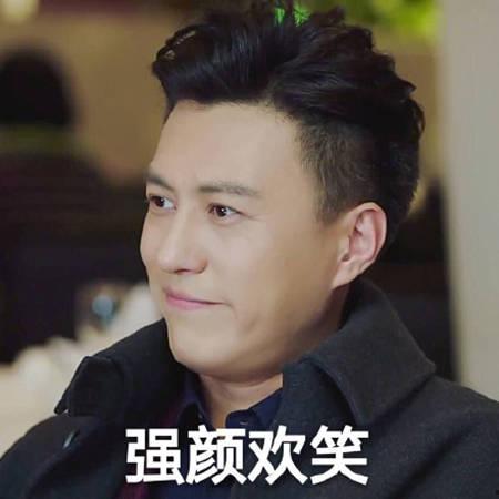 琅琊榜 靳东 表情包,靳东表情包背后的深情演绎